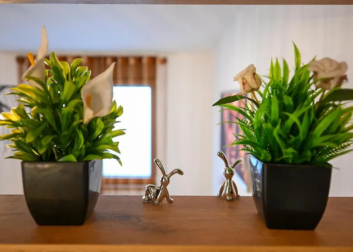 A&b, 公寓 兹拉蒂博尔