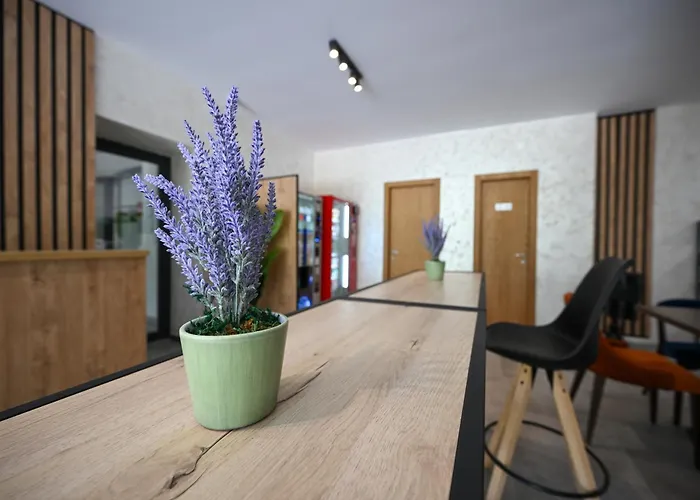 A&b, 兹拉蒂博尔